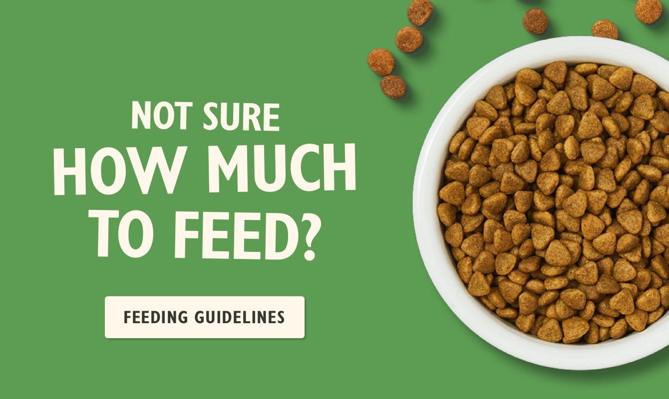 Feeding Guidelines